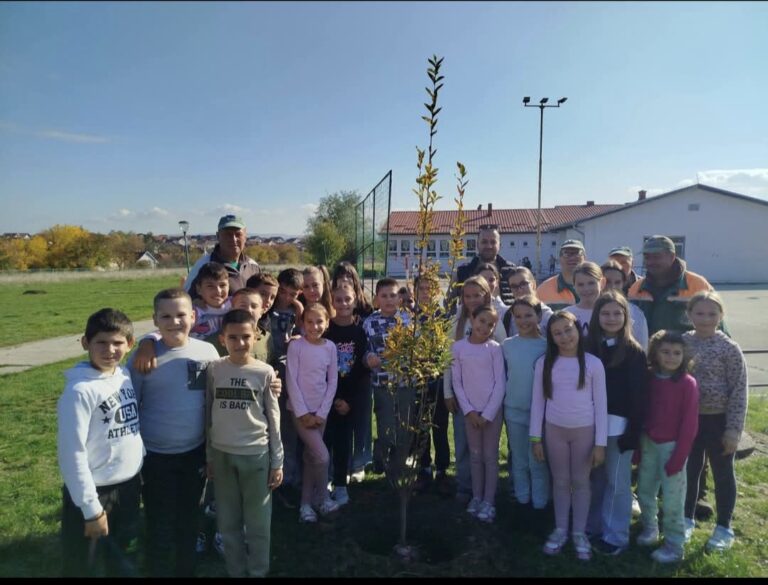 viber_image_2025-12-02_12-42-40-035